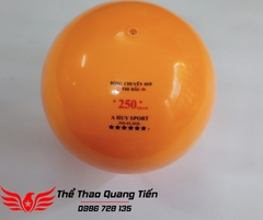 Bóng chuyền hơi loại đẹp 200g 250g 300g