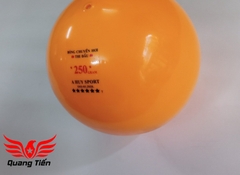 Bóng chuyền hơi loại đẹp 200g 250g 300g
