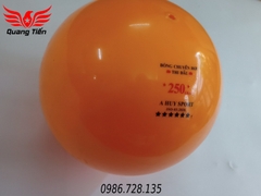 Bóng chuyền hơi loại đẹp 200g 250g 300g