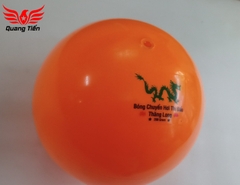 Bóng chuyền hơi loại đẹp 200g 250g 300g
