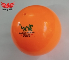 Bóng chuyền hơi loại đẹp 200g 250g 300g