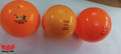 Bóng chuyền hơi loại đẹp 200g 250g 300g