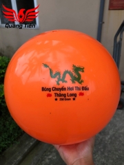 Bóng chuyền hơi loại đẹp 200g 250g 300g