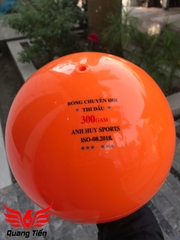 Bóng chuyền hơi loại đẹp 200g 250g 300g