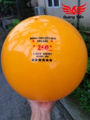 Bóng chuyền hơi loại đẹp 200g 250g 300g