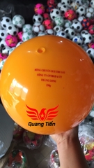 Bóng chuyền hơi loại đẹp 200g 250g 300g