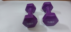 Tạ tay cao su siêu bóng cao cấp của nữ ( màu tím )