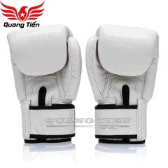 Găng Tay Boxing Fairtex BGV1 Universal Gloves - Breathable - Trắng