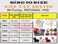 Găng Tay boxing,tán thủ BN ( Xanh Đen )