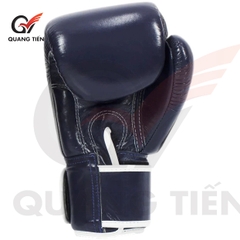 Găng Tay Boxing Fairtex BGV1 australia day