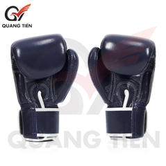 Găng Tay Boxing Fairtex BGV1 australia day