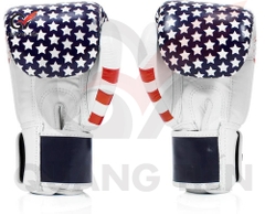 Găng Tay Boxing Fairtex BGV1 USA Flag