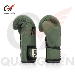 Găng Tay Boxing Fairtex BGV1 F-DAY