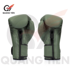 Găng Tay Boxing Fairtex BGV1 F-DAY