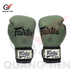 Găng Tay Boxing Fairtex BGV1 F-DAY