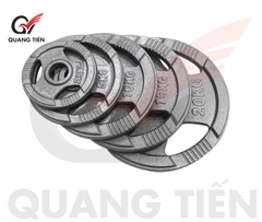 Tạ bánh sắt 5kg olympic sơn tĩnh điện cao cấp chính hãng (phi 28)