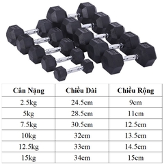 Tạ tay đơn lục giác Gang bọc cao su ( giá 1 chiếc )