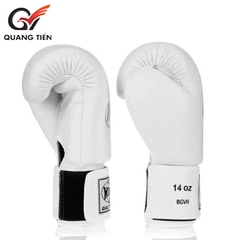 Găng Tay Boxing Windy BGVH Classic - Trắng