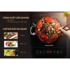 Bếp hồng ngoại cảm ứng Sunhouse SHD6014