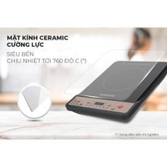 Bếp từ đơn Sunhouse SHD6160