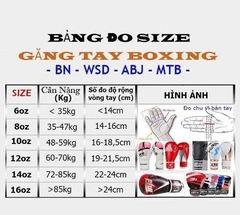 GĂNG BOXING BUỘC DÂY BN CIRCLE – CAO CẤP, CHẮC TAY, ĐẸP NỔI BẬT - TÍM VÀNG