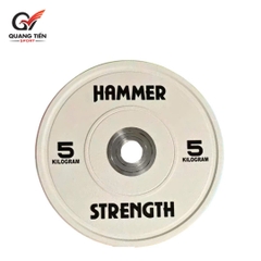 Tạ bánh cao su lõi thép nhỏ Hammer Strength cao cấp lỗ 50 nhập khẩu (giá 1 cặp)
