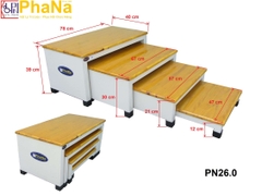PN26.0 - Bục tập người liệt hạ chi - PHCN  (Cầu thang xếp)