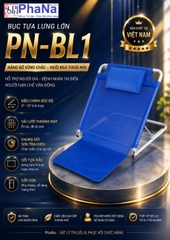 BỤC TỰA LƯNG LỚN CÓ TAY PN-BL1T