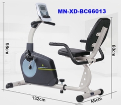 Xe đạp tập thể dục BC66013