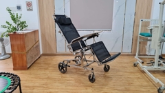 Ghế giường tắm M1 - PN-0113