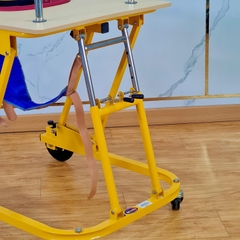 PN43.2 - Khung đi trẻ em có đai nâng đỡ