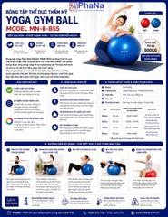 Bóng tập thể dục thẩm mỹ yoga gym ball -  Bóng tập Brosman