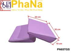 PN65TGS - Bục tam giác tập trẻ bại não sơ sinh (30 x 30 x 10 cm) (Bờ xiêng)