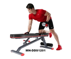 Ghế tập Gym đa năng DDS-1201