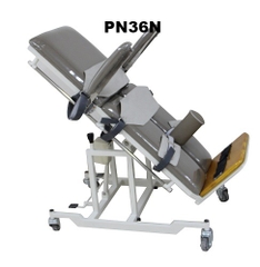 PN36N - Giường xiên quay tập đứng (trẻ em) - PHCN