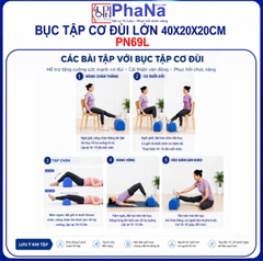 PN69L - Bục tập cơ đùi lớn 40x20x20cm - PHCN