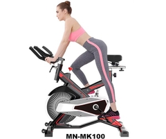 Xe đạp tập thể dục Fuji Luxury MK-100