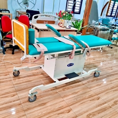 PN36LD - Giường xiên quay tập đứng bệnh nhân lớn (điện)