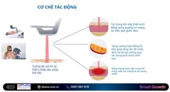 Laser cường độ cao 30W