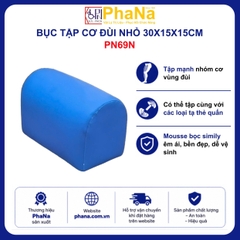 PN69N - Bục tập cơ đùi nhỏ 30x15x15cm - PHCN