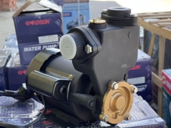 máy bơm nước Goldsun GSP200/200W chân không