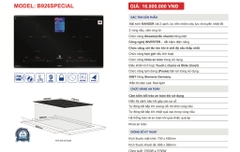 Bếp từ đôi Blueger B926special , Made in malaysia , 2200Wx2200W