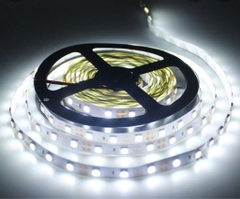 Nháy led dán 12V/5M (as trắng)