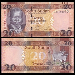 20 pounds South Sudan 2015