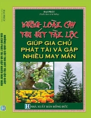 những loài cây thu hút tài lộc, giúp gia chủ phát tài và gặp nhiều may mắn