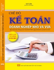 CHẾ ĐỘ KẾ TOÁN DOANH NGHIỆP NHỎ VÀ VỪA