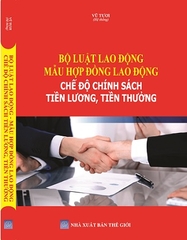 Sách Bộ Luật Lao Động - Mẫu Hợp Đồng Lao Động Chế Độ Chính Sách Tiền Lương, Tiền Thưởng