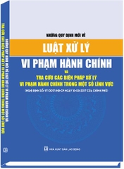 NHỮNG QUY ĐỊNH MỚI VỀ LUẬT XỬ LÝ VI PHẠM HÀNH CHÍNH