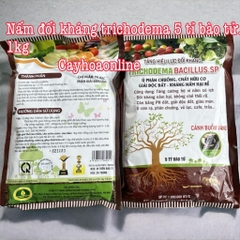 Chế phẩm sinh học trichodema (bacillus) 5 tỉ bào tử 55.k 1 gói 1kg