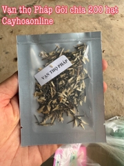 Hạt giống vạn thọ Pháp mix màu (vạn thọ ban mai) gói 200 hạt